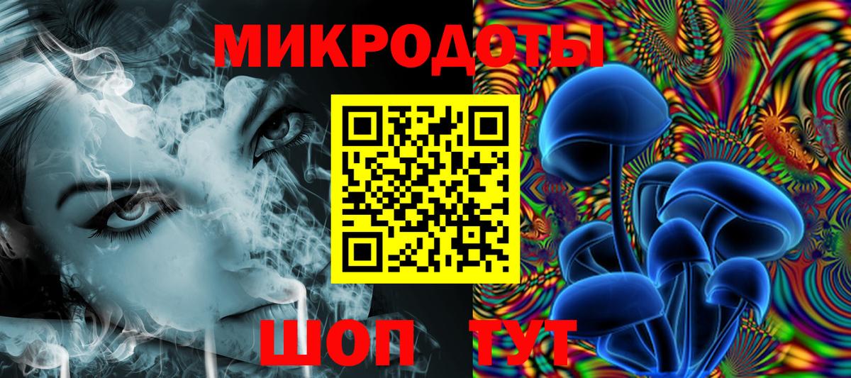 Псилоцибиновые грибы Psilocybine cubensis Норильск