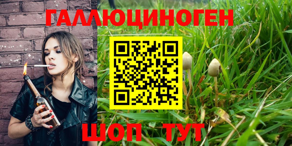Норильск  Галлюциногенные грибы Cubensis  Вход с VPN 